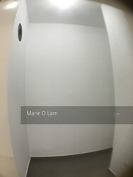 Starlight Suites (D9), Apartment #296859981
